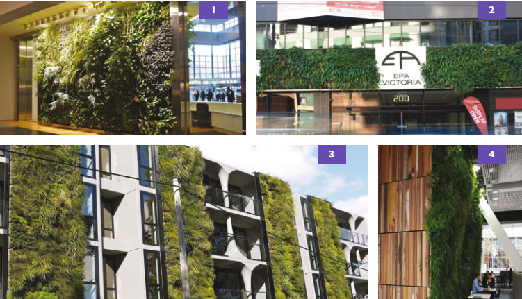 Various examples of green walls