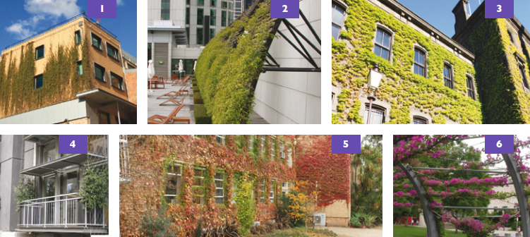 Various examples of green facades