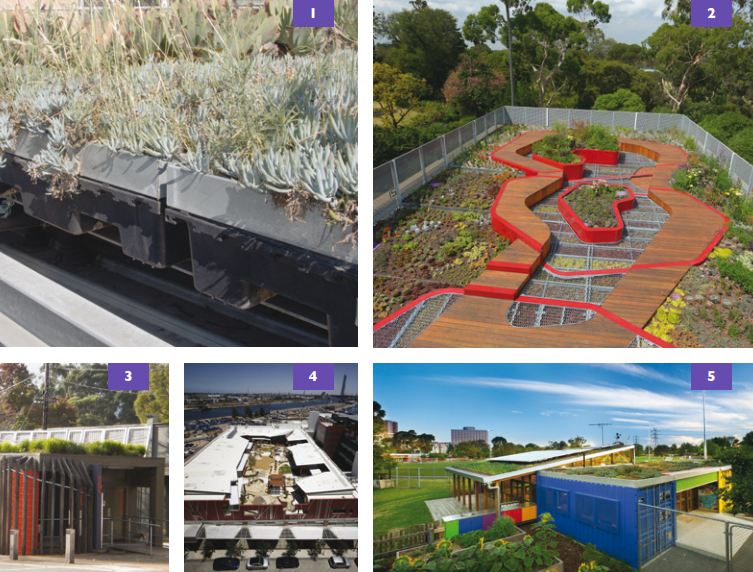 Various examples of green roofs